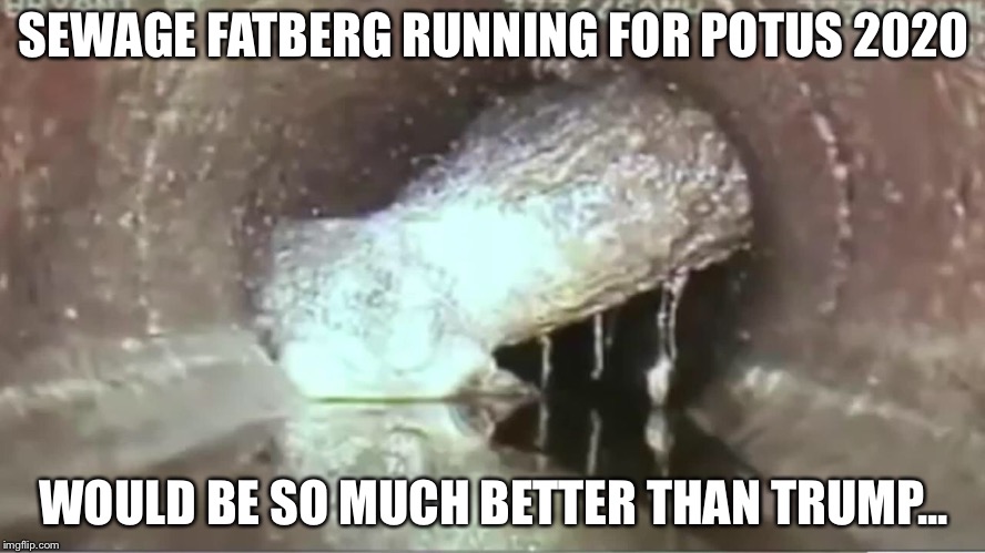 Sewage fatberg for POTUS | SEWAGE FATBERG RUNNING FOR POTUS 2020; WOULD BE SO MUCH BETTER THAN TRUMP... | image tagged in politics,political meme | made w/ Imgflip meme maker