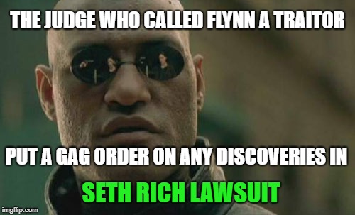 Matrix Morpheus Meme | THE JUDGE WHO CALLED FLYNN A TRAITOR; PUT A GAG ORDER ON ANY DISCOVERIES IN; SETH RICH LAWSUIT | image tagged in memes,matrix morpheus | made w/ Imgflip meme maker