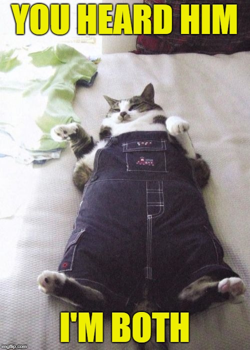Fat Cat Meme | YOU HEARD HIM I'M BOTH | image tagged in memes,fat cat | made w/ Imgflip meme maker