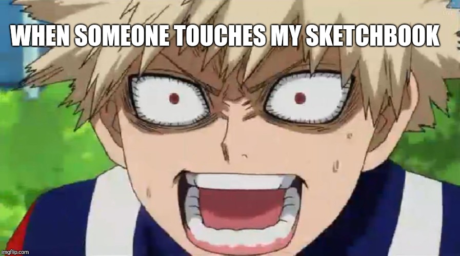 Bakugou | WHEN SOMEONE TOUCHES MY SKETCHBOOK | image tagged in bakugou | made w/ Imgflip meme maker