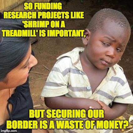 Third World Skeptical Kid | SO FUNDING RESEARCH PROJECTS LIKE 'SHRIMP ON A TREADMILL' IS IMPORTANT, BUT SECURING OUR BORDER IS A WASTE OF MONEY? | image tagged in memes,third world skeptical kid | made w/ Imgflip meme maker