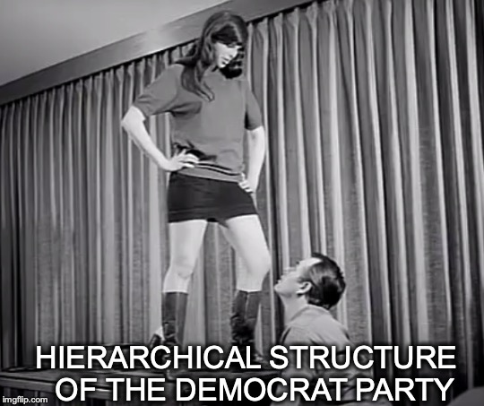 Submission to the party | HIERARCHICAL STRUCTURE  OF THE DEMOCRAT PARTY | image tagged in feminism,democrat party,submission,female logic,women | made w/ Imgflip meme maker