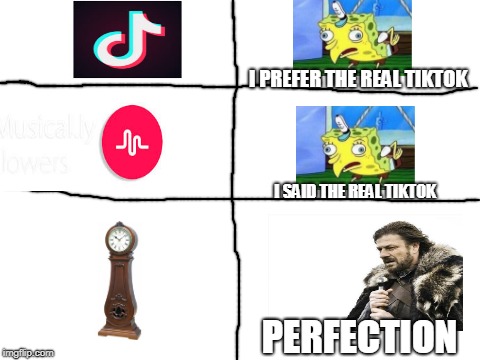 Blank White Template | I PREFER THE REAL TIKTOK; I SAID THE REAL TIKTOK; PERFECTION | image tagged in blank white template | made w/ Imgflip meme maker