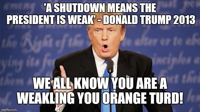 Just die already  | 'A SHUTDOWN MEANS THE PRESIDENT IS WEAK' - DONALD TRUMP 2013; WE ALL KNOW YOU ARE A WEAKLING YOU ORANGE TURD! | image tagged in memes,donald trump,government shutdown | made w/ Imgflip meme maker