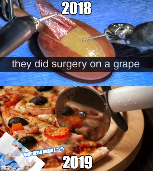 New year new surgeon | 2018; 2019; WHY HELLO AGAIN ( ͡° ͜ʖ ͡°) | image tagged in memes | made w/ Imgflip meme maker