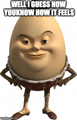 humpty dumpty | WELL I GUESS NOW YOUKNOW HOW IT FEELS | image tagged in humpty dumpty | made w/ Imgflip meme maker