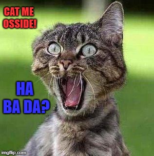 Shocked Cat | CAT ME OSSIDE! HA BA DA? | image tagged in shocked cat | made w/ Imgflip meme maker