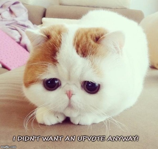 Sad Cat | I DIDN'T WANT AN UPVOTE ANYWAY! | image tagged in sad cat | made w/ Imgflip meme maker