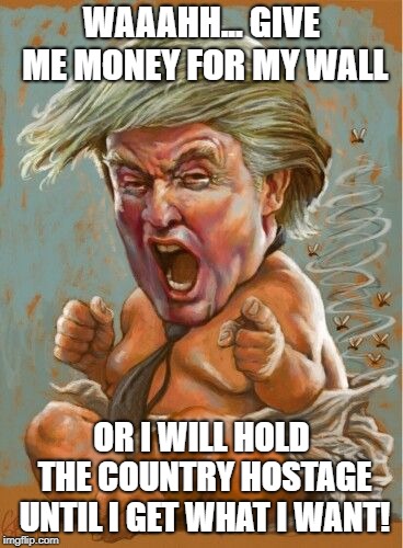 WAAAHH... GIVE ME MONEY FOR MY WALL; OR I WILL HOLD THE COUNTRY HOSTAGE UNTIL I GET WHAT I WANT! | image tagged in trump,baby | made w/ Imgflip meme maker