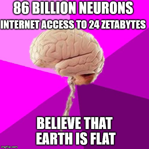 Incredible Human Brain | 86 BILLION NEURONS; INTERNET ACCESS TO 24 ZETABYTES; BELIEVE THAT EARTH IS FLAT | image tagged in incredible human brain | made w/ Imgflip meme maker