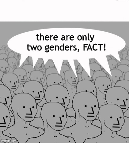 NPCProgramScreed | there are only two genders, FACT! | image tagged in npcprogramscreed | made w/ Imgflip meme maker