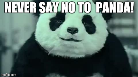 You wanna try panda cheese? | NEVER SAY NO TO  PANDA! | image tagged in panda,never say no to panda,cheese,food,memes,animals | made w/ Imgflip meme maker