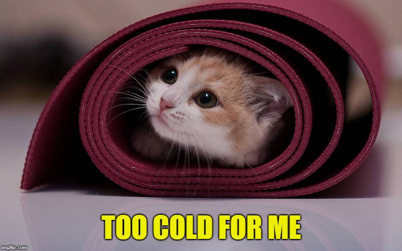 TOO COLD FOR ME | made w/ Imgflip meme maker