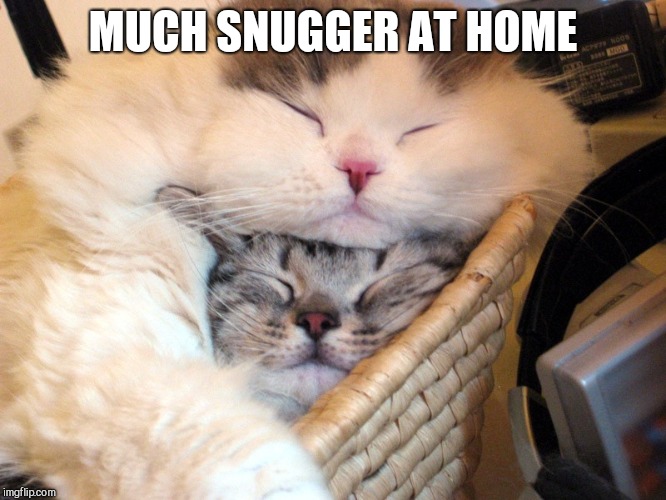 MUCH SNUGGER AT HOME | made w/ Imgflip meme maker