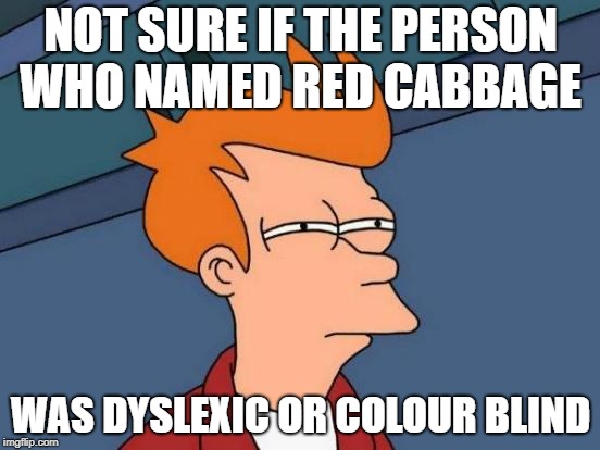 Futurama Fry Meme | NOT SURE IF THE PERSON WHO NAMED RED CABBAGE; WAS DYSLEXIC OR COLOUR BLIND | image tagged in memes,futurama fry,red,purple,dyslexia,colour | made w/ Imgflip meme maker