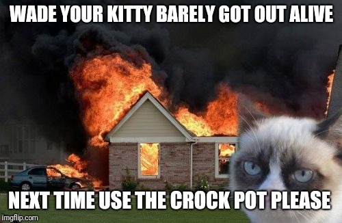 Burn Kitty Meme | WADE YOUR KITTY BARELY GOT OUT ALIVE NEXT TIME USE THE CROCK POT PLEASE | image tagged in memes,burn kitty,grumpy cat | made w/ Imgflip meme maker