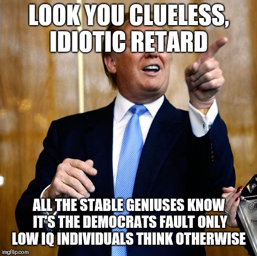 Donal Trump Birthday | LOOK YOU CLUELESS, IDIOTIC RETARD ALL THE STABLE GENIUSES KNOW IT'S THE DEMOCRATS FAULT ONLY LOW IQ INDIVIDUALS THINK OTHERWISE | image tagged in donal trump birthday | made w/ Imgflip meme maker