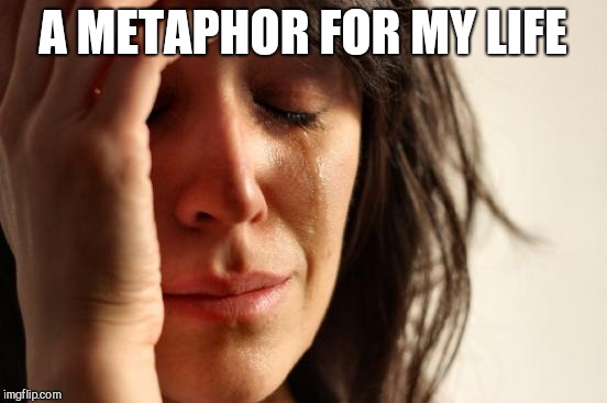 First World Problems Meme | A METAPHOR FOR MY LIFE | image tagged in memes,first world problems | made w/ Imgflip meme maker