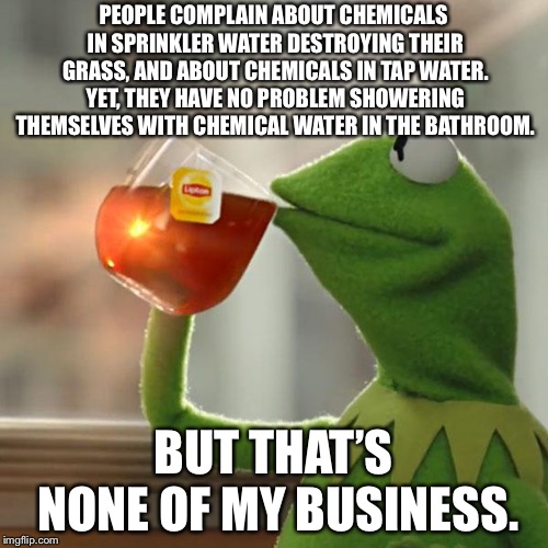 Whining about water except in the bathroom | PEOPLE COMPLAIN ABOUT CHEMICALS IN SPRINKLER WATER DESTROYING THEIR GRASS, AND ABOUT CHEMICALS IN TAP WATER. YET, THEY HAVE NO PROBLEM SHOWERING THEMSELVES WITH CHEMICAL WATER IN THE BATHROOM. BUT THAT’S NONE OF MY BUSINESS. | image tagged in memes,but thats none of my business,kermit the frog,water,bathroom,shower | made w/ Imgflip meme maker