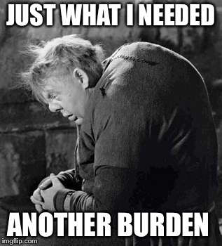 JUST WHAT I NEEDED ANOTHER BURDEN | made w/ Imgflip meme maker