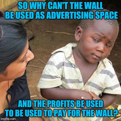 Third World Skeptical Kid Meme | SO WHY CAN'T THE WALL BE USED AS ADVERTISING SPACE AND THE PROFITS BE USED TO BE USED TO PAY FOR THE WALL? | image tagged in memes,third world skeptical kid | made w/ Imgflip meme maker