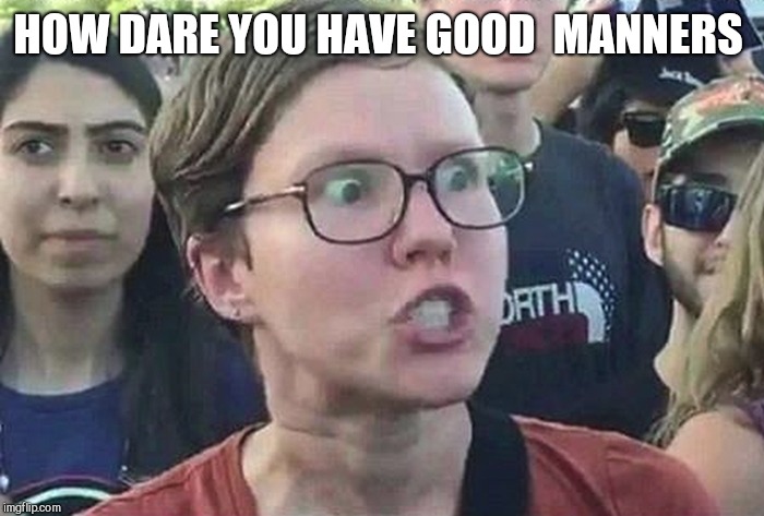 Triggered Liberal | HOW DARE YOU HAVE GOOD  MANNERS | image tagged in triggered liberal | made w/ Imgflip meme maker