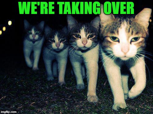 Wrong Neighboorhood Cats Meme | WE'RE TAKING OVER | image tagged in memes,wrong neighboorhood cats | made w/ Imgflip meme maker