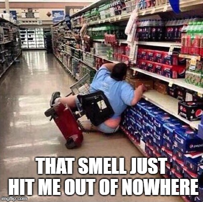 Fat Chick Falling Off Scooter At Walmart | THAT SMELL JUST HIT ME OUT OF NOWHERE | image tagged in fat chick falling off scooter at walmart | made w/ Imgflip meme maker