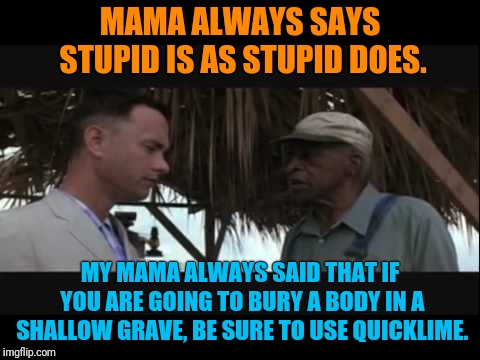 Mama Was Always Helpful That Way. She Could Get Blood Stains Out Of White Lace With Just Vinegar And A Carrot | MAMA ALWAYS SAYS STUPID IS AS STUPID DOES. MY MAMA ALWAYS SAID THAT IF YOU ARE GOING TO BURY A BODY IN A SHALLOW GRAVE, BE SURE TO USE QUICKLIME. | image tagged in stupid is as stupid does | made w/ Imgflip meme maker