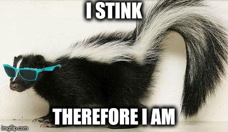 Cool Skunk | I STINK THEREFORE I AM | image tagged in cool skunk | made w/ Imgflip meme maker