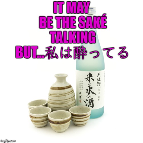 sake | IT MAY BE THE SAKÉ TALKING BUT...私は酔ってる | image tagged in sake,fun,funny,funny memes,memes | made w/ Imgflip meme maker