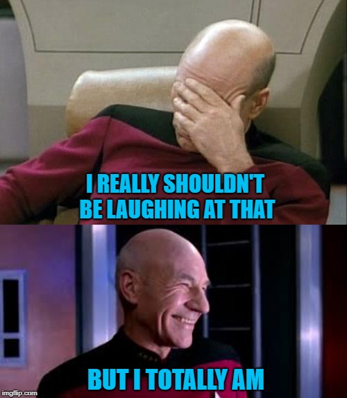 I REALLY SHOULDN'T BE LAUGHING AT THAT BUT I TOTALLY AM | image tagged in memes,captain picard facepalm | made w/ Imgflip meme maker