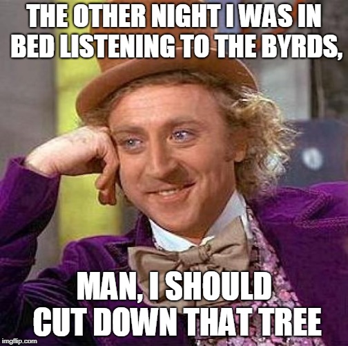I think it's Turn! Turn! Turning me crazy | THE OTHER NIGHT I WAS IN BED LISTENING TO THE BYRDS, MAN, I SHOULD CUT DOWN THAT TREE | image tagged in memes,creepy condescending wonka,funny,1960s,music joke,birds | made w/ Imgflip meme maker