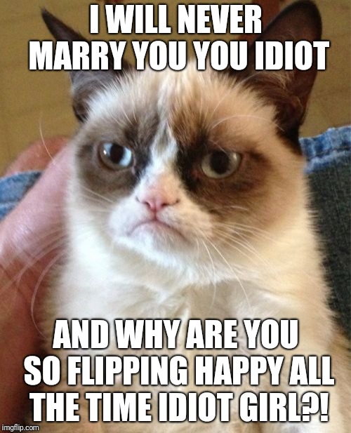 Grumpy Cat Meme | I WILL NEVER MARRY YOU YOU IDIOT AND WHY ARE YOU SO FLIPPING HAPPY ALL THE TIME IDIOT GIRL?! | image tagged in memes,grumpy cat | made w/ Imgflip meme maker