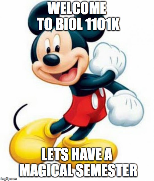 mickey mouse  | WELCOME TO BIOL 1101K; LETS HAVE A MAGICAL SEMESTER | image tagged in mickey mouse | made w/ Imgflip meme maker