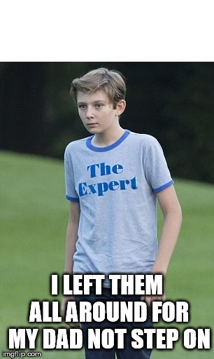 The Expert | I LEFT THEM ALL AROUND FOR MY DAD NOT STEP ON | image tagged in the expert | made w/ Imgflip meme maker