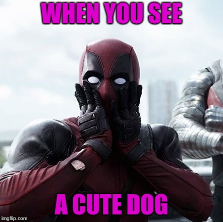 Deadpool Surprised | WHEN YOU SEE; A CUTE DOG | image tagged in memes,deadpool surprised | made w/ Imgflip meme maker