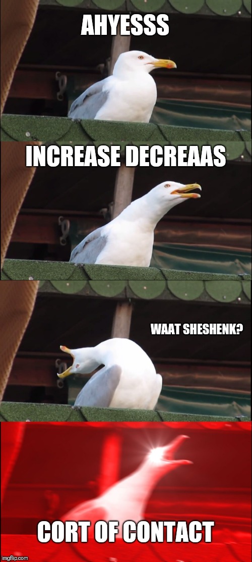 Inhaling Seagull Meme | AHYESSS; INCREASE DECREAAS; WAAT SHESHENK? CORT OF CONTACT | image tagged in memes,inhaling seagull | made w/ Imgflip meme maker
