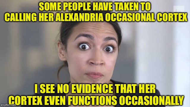 Let's Be REAL Here People | SOME PEOPLE HAVE TAKEN TO CALLING HER ALEXANDRIA OCCASIONAL CORTEX; I SEE NO EVIDENCE THAT HER CORTEX EVEN FUNCTIONS OCCASIONALLY | image tagged in crazy alexandria ocasio-cortez,funny,funny memes,memes,mxm | made w/ Imgflip meme maker