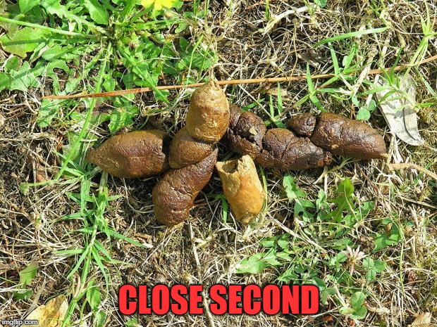 dog turd | CLOSE SECOND | image tagged in dog turd | made w/ Imgflip meme maker