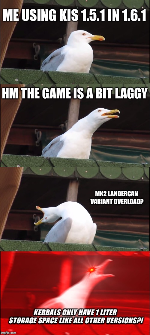 Inhaling Seagull Meme | ME USING KIS 1.5.1 IN 1.6.1; HM THE GAME IS A BIT LAGGY; MK2 LANDERCAN VARIANT OVERLOAD? KERBALS ONLY HAVE 1 LITER STORAGE SPACE LIKE ALL OTHER VERSIONS?! | image tagged in memes,inhaling seagull | made w/ Imgflip meme maker