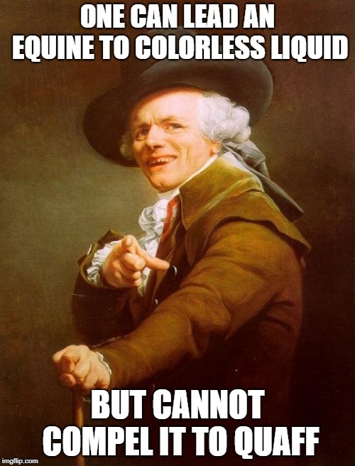 Joseph Ducreux | ONE CAN LEAD AN EQUINE TO COLORLESS LIQUID; BUT CANNOT COMPEL IT TO QUAFF | image tagged in memes,joseph ducreux | made w/ Imgflip meme maker