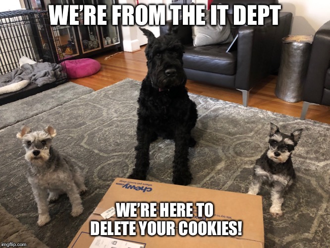 Schnauzer IT Dept Imgflip