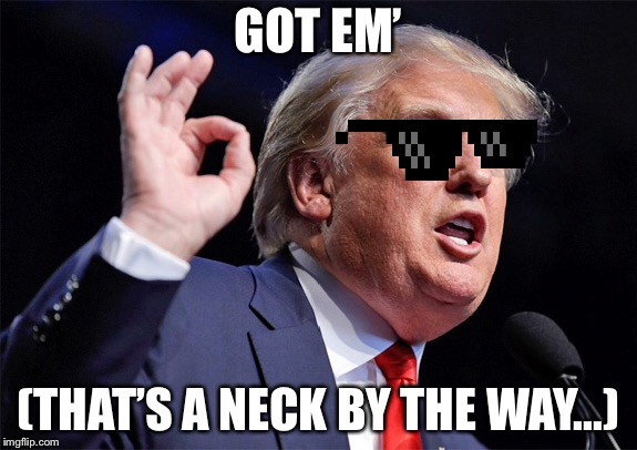You just got necked by Donald Trump... | GOT EM’; (THAT’S A NECK BY THE WAY...) | image tagged in made in china | made w/ Imgflip meme maker