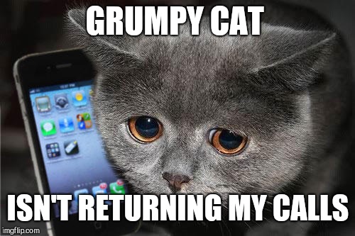 Sad cat phone | GRUMPY CAT ISN'T RETURNING MY CALLS | image tagged in sad cat phone | made w/ Imgflip meme maker