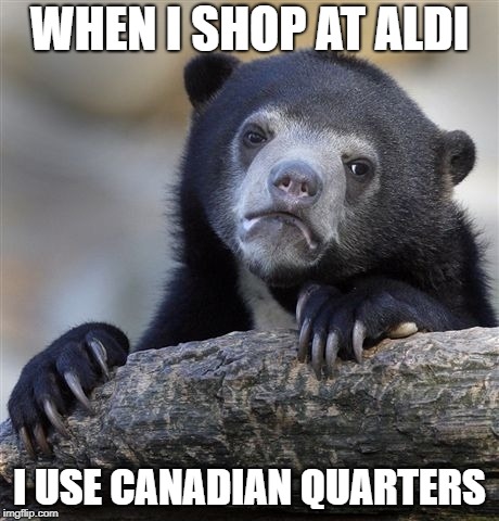 Confession Bear Meme | WHEN I SHOP AT ALDI; I USE CANADIAN QUARTERS | image tagged in memes,confession bear | made w/ Imgflip meme maker