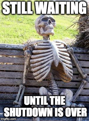 For as long as it takes | STILL WAITING; UNTIL THE SHUTDOWN IS OVER | image tagged in memes,waiting skeleton | made w/ Imgflip meme maker