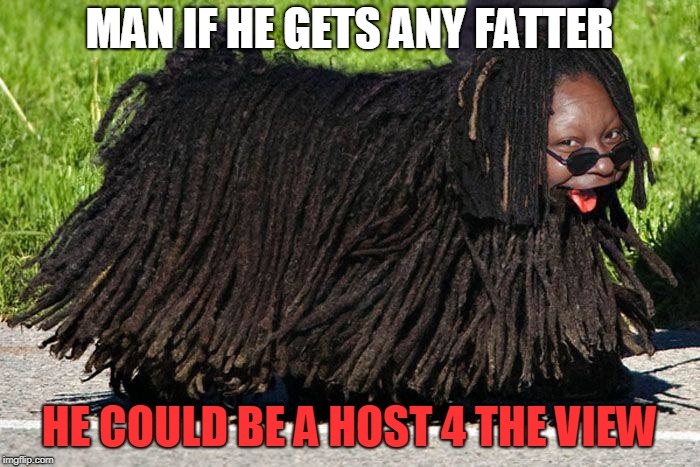 the view | MAN IF HE GETS ANY FATTER HE COULD BE A HOST 4 THE VIEW | image tagged in the view | made w/ Imgflip meme maker