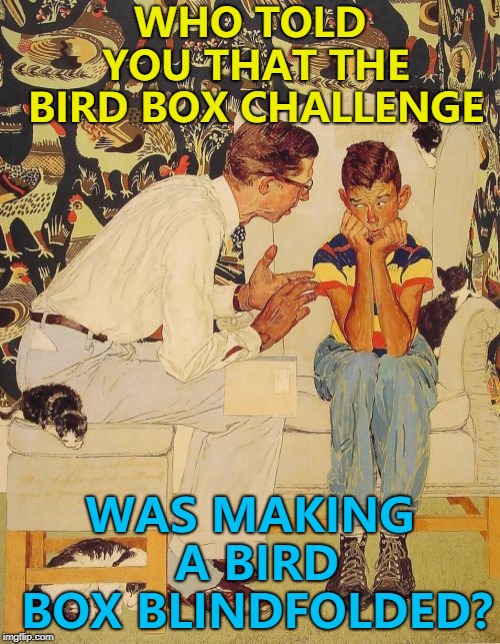 There's one born every minute... :) | WHO TOLD YOU THAT THE BIRD BOX CHALLENGE; WAS MAKING A BIRD BOX BLINDFOLDED? | image tagged in memes,the probelm is,the problem is,bird box | made w/ Imgflip meme maker