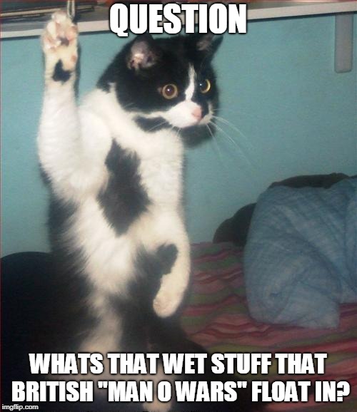 question cat | QUESTION WHATS THAT WET STUFF THAT BRITISH "MAN O WARS" FLOAT IN? | image tagged in question cat | made w/ Imgflip meme maker